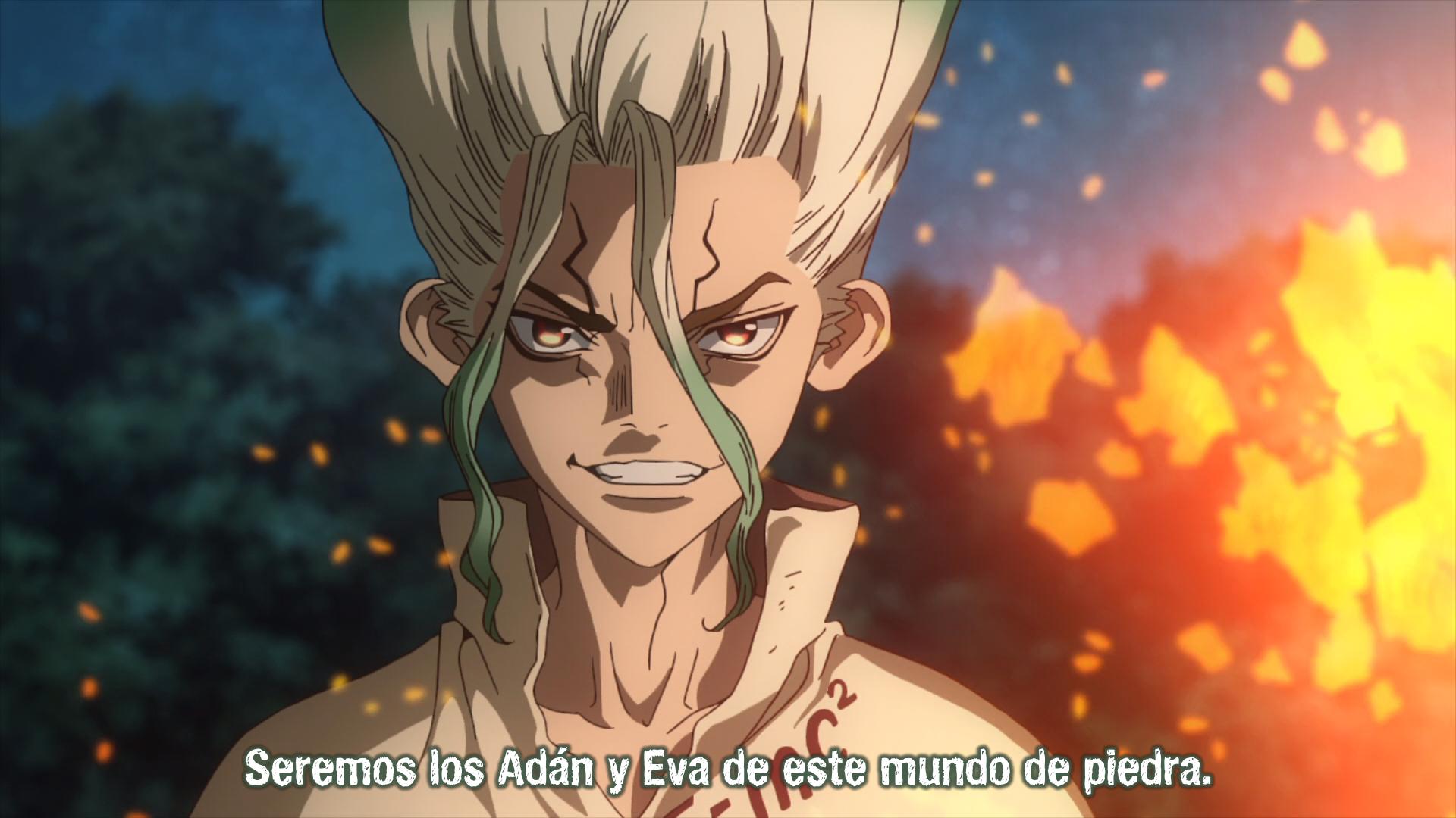 Dr stone torrent