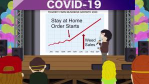 sempai23: South Park (Temporada 24, 25 y 26) 3