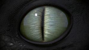 sempai23: Dragones: Defensores de Berk (Temporadas 1-8) 1