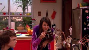 sempai23: Victorious (Temporadas 1-3) 3