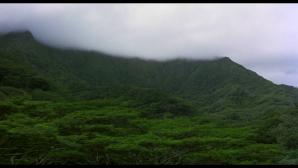 sempai23: George de la Jungla (Película 1 y 2) 4