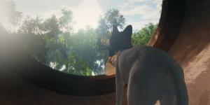 Otaku Tail No Fansub: Flow 1