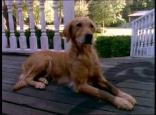 sempai23: Pesadillas (Temporadas 1-4) 1