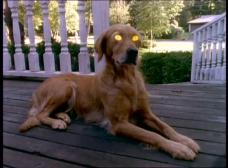 sempai23: Pesadillas (Temporadas 1-4) 2