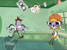 sempai23: La mosca Maggie 1